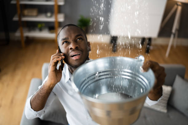 Best Ceiling water damage repair  in Bingham Farms, MI