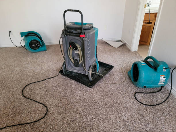 Best Water damage cleanup near me  in Bingham Farms, MI