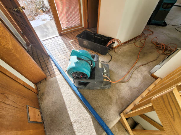  Bingham Farms, MI Water damage restoration Pros