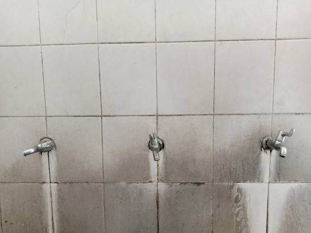 Best Fire Damage Restoration  in Bingham Farms, MI