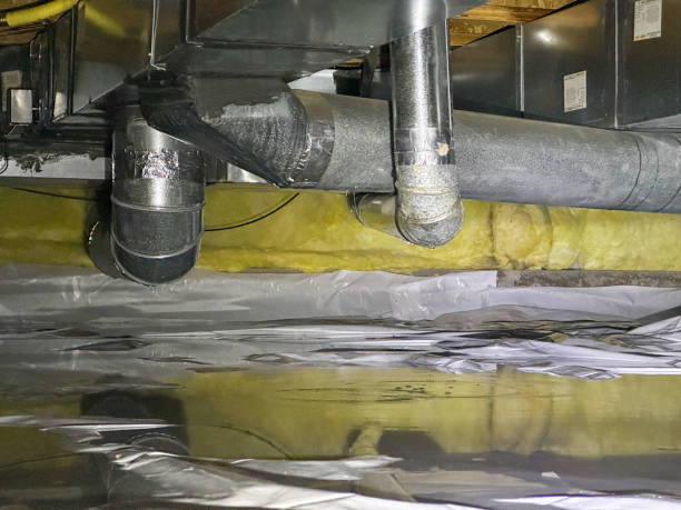 Best Water damage cleanup near me  in Bingham Farms, MI