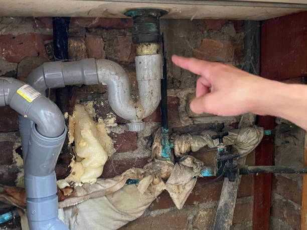 Best Fire Damage Restoration  in Bingham Farms, MI