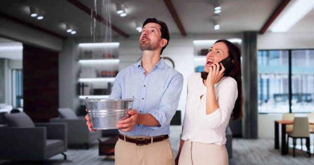 Best Flood damage cleanup  in Bingham Farms, MI