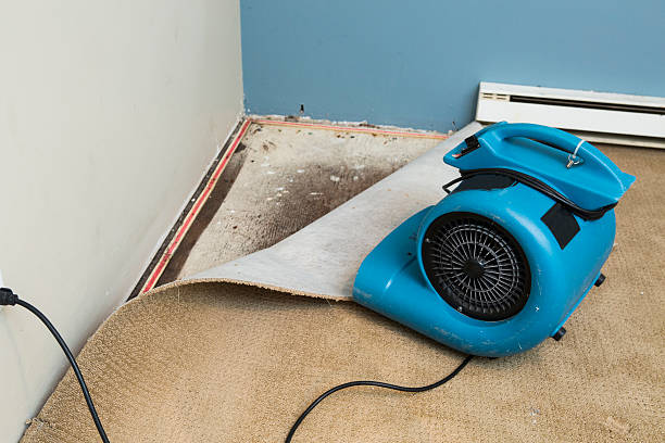 Best Professional water damage repair  in Bingham Farms, MI